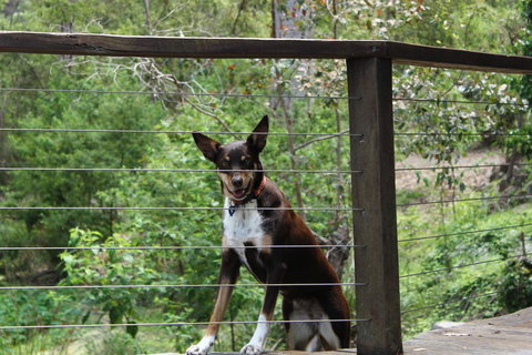 Ark Of Denmark - Accommodation China 10