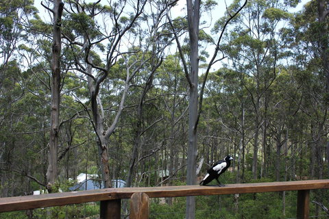 Ark Of Denmark - Accommodation China 11