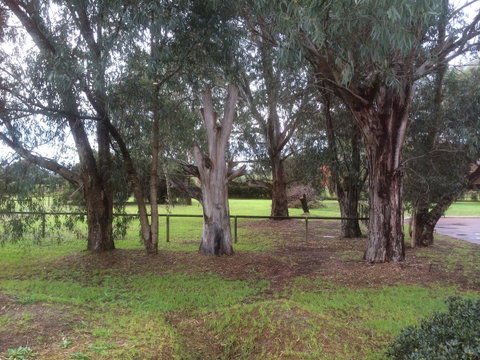 Nivalis Bed And Breakfast - Accommodation Guide 29