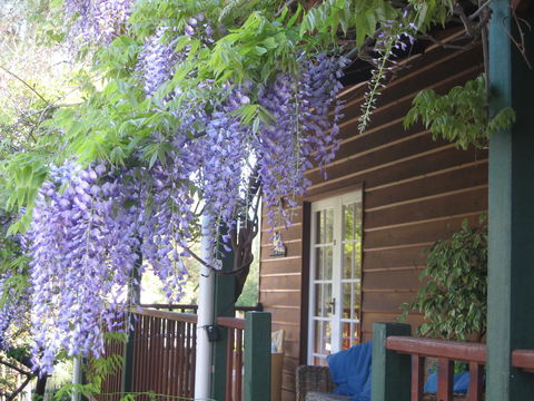 RoseMoore Bed & Breakfast - Accommodation Asia 11
