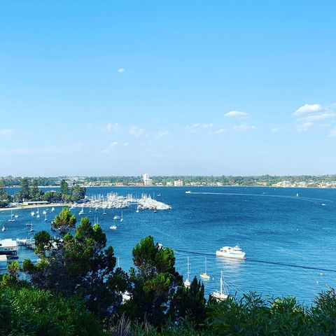 SEA BREEZE â€“ Between Cottesloe Beach & Swan River - Accommodation Asia 23