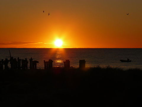 Jurien Bay Tourist Park - Accommodation Asia 28