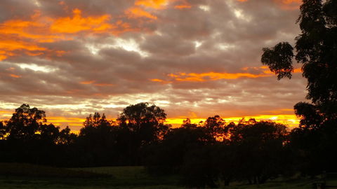 Windfall Estate Vineyard Cottage - Accommodation Guide 32