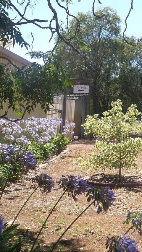 Windfall Estate Vineyard Cottage - Accommodation Guide 13
