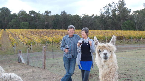 Windfall Estate Vineyard Cottage - Accommodation Guide 11