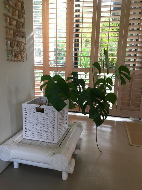 DESIGNER'S STUDIO - Accommodation Asia 5