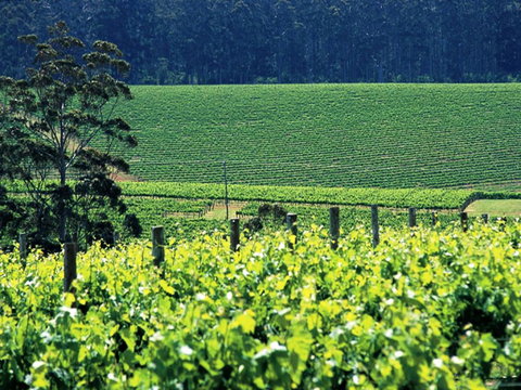 The Pemberton Hotel - Accommodation Asia 5