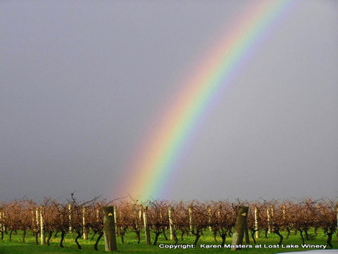 The Pemberton Hotel - Accommodation Asia 41