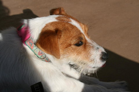 Bremer Bay B&B - Accommodation Asia 25