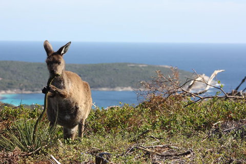 Bremer Bay B&B - Accommodation Asia 30