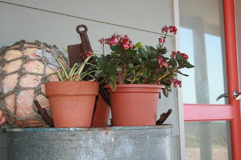 Bremer Bay B&B - Accommodation Asia 28