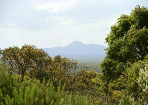 Bremer Bay B&B - Accommodation Asia 32