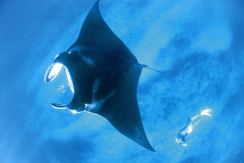 Sal Salis Ningaloo Reef - Accommodation Asia 28