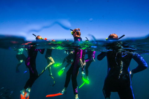 Sal Salis Ningaloo Reef - Accommodation Asia 26