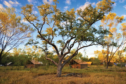 Bungle Bungle Wilderness Lodge - Accommodation Asia 11