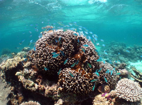 Ningaloo Coral Bay â€“ Bayview - Accommodation Asia 2
