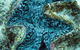 Ningaloo Coral Bay â€“ Bayview - thumb 5
