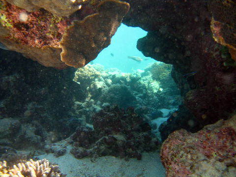 Ningaloo Coral Bay â€“ Bayview - Accommodation Asia 4