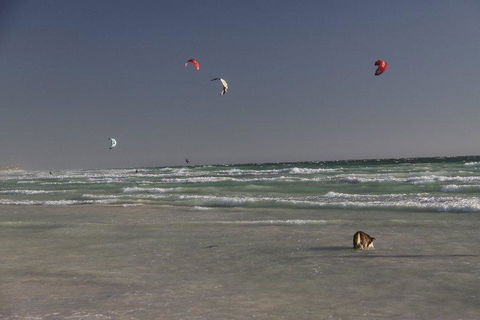 Dongara Tourist Park - Accommodation Asia 33