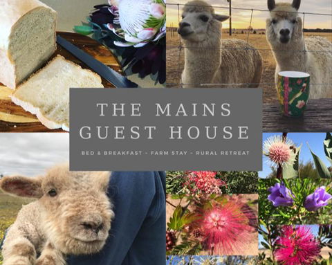 The Mains Guest House 2 Bedroom Farm Stay - Accommodation Guide 0