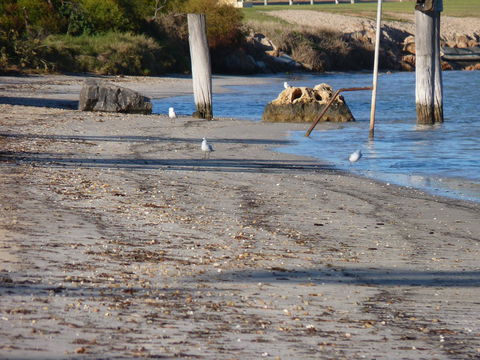 Leander Reef Holiday Park - Accommodation Asia 6