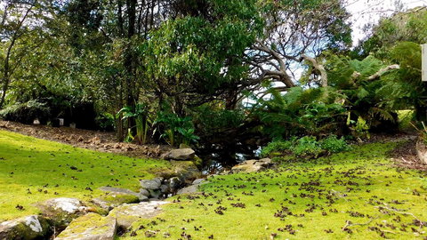 43 Degrees Bruny Island - Accommodation Asia 8