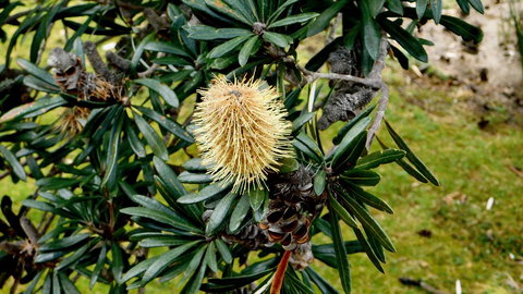 43 Degrees Bruny Island - Accommodation Asia 11