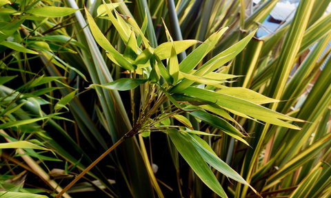 43 Degrees Bruny Island - Accommodation Asia 10