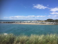 Book Bridport Accommodation Vacations Accommodation Guide Accommodation Guide