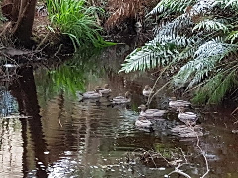 Strahan Retreat Holiday Park - Accommodation Asia 24