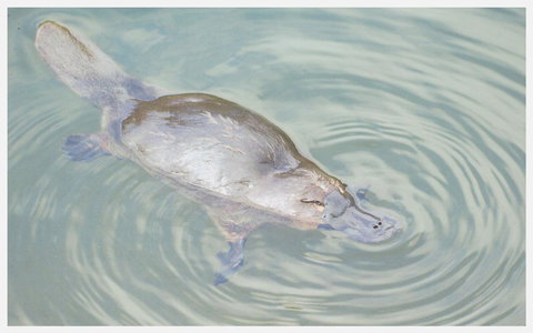 Strahan Retreat Holiday Park - Accommodation Asia 20