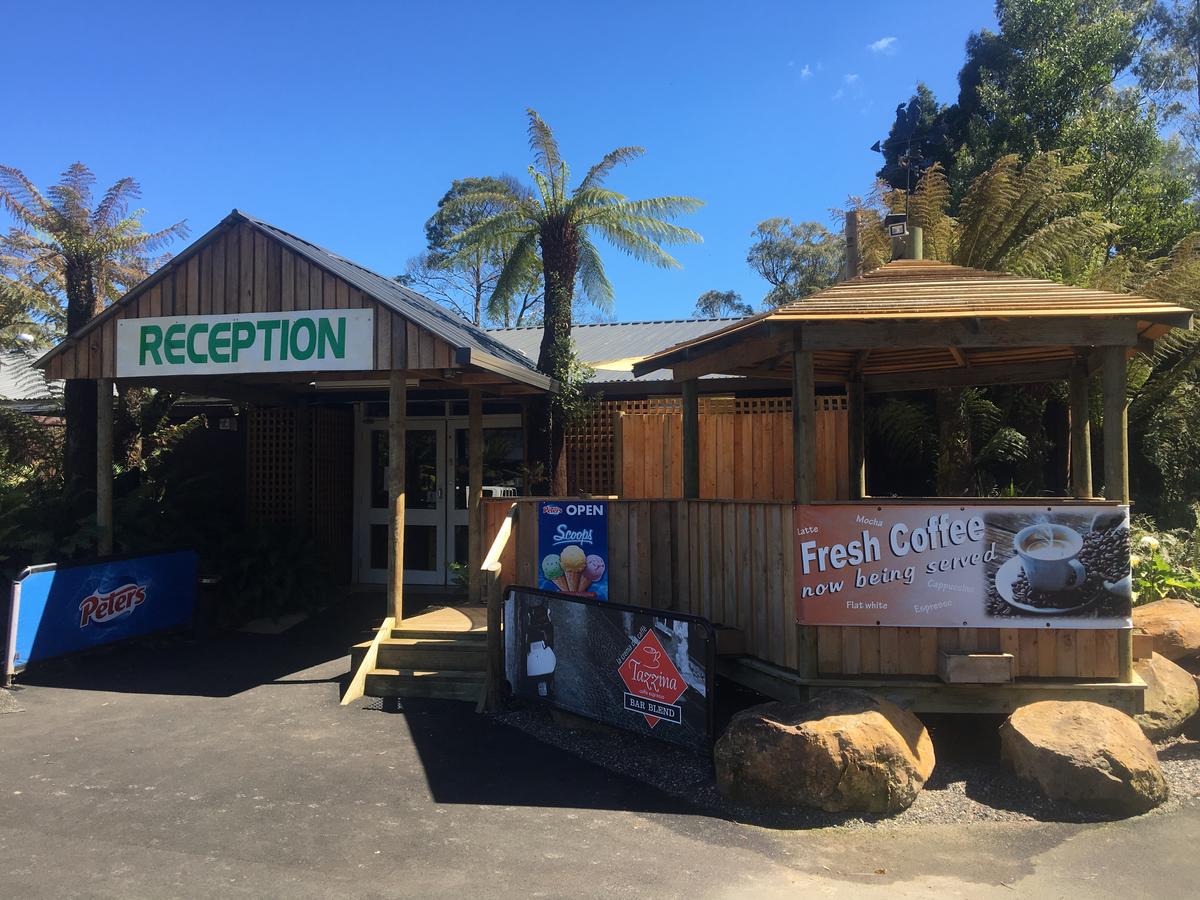 East Cam TAS Accommodation Asia