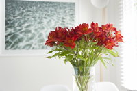 Book Kingston Beach Accommodation Vacations Accommodation China Accommodation China