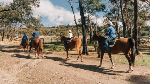 Country Club Tasmania - Accommodation Asia 7