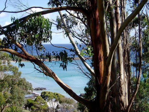 Seascape Beach House - Accommodation Asia 8