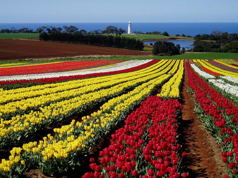 Seascape Beach House - Accommodation Asia 27