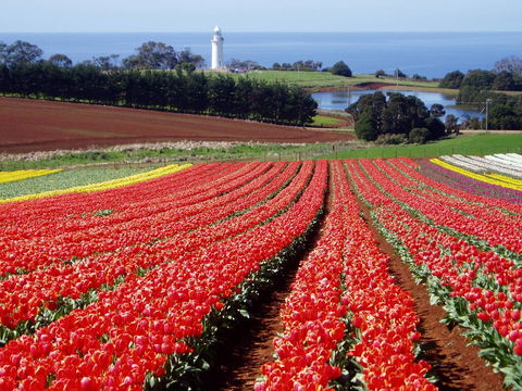 Seascape Beach House - Accommodation Asia 26