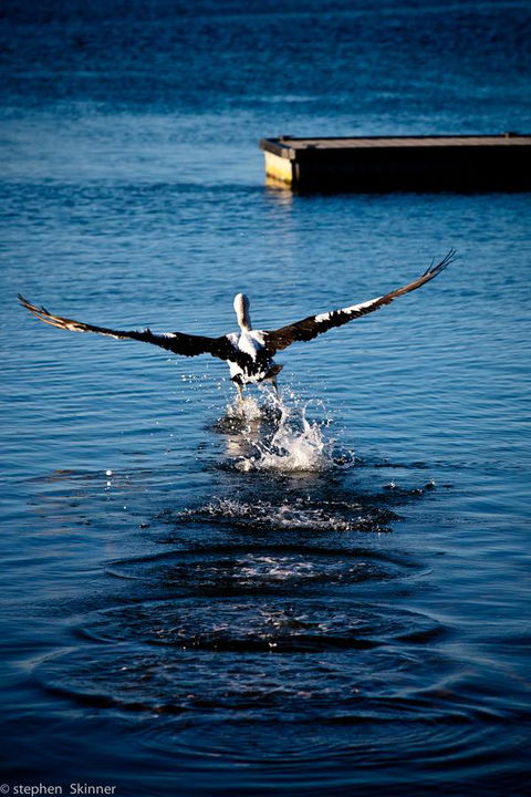 The Waterfront Wynyard - Accommodation Guide 17