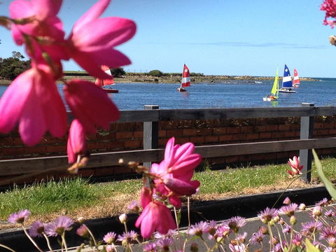 The Waterfront Wynyard - Accommodation Guide 7