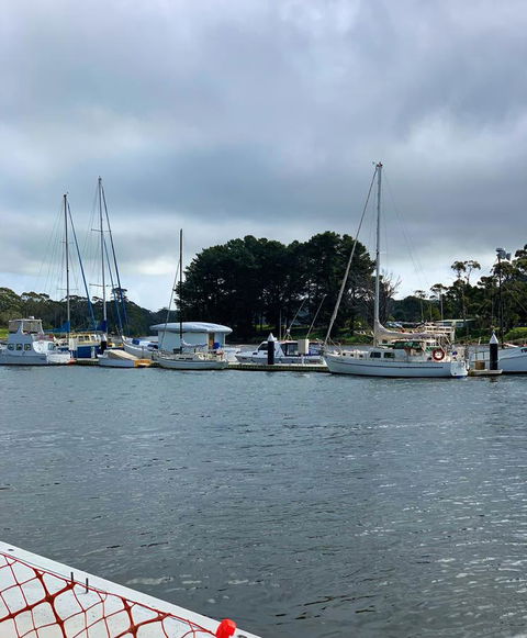 The Waterfront Wynyard - Accommodation Guide 5