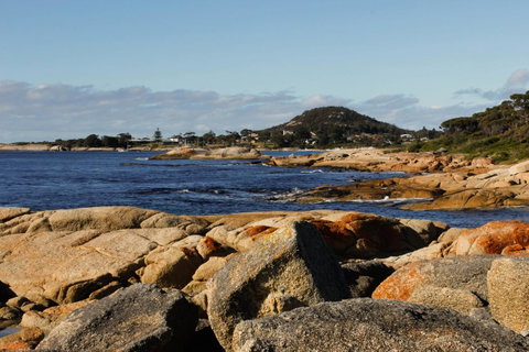 Mermaids Of Bicheno - Accommodation Guide 15