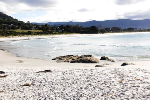 Mermaids Of Bicheno - Accommodation Guide 0
