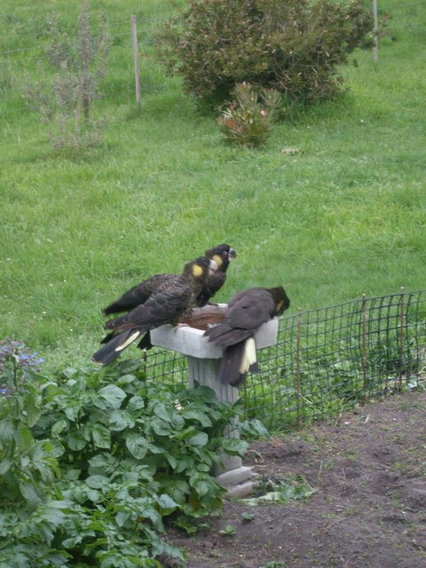 Pipe Clay Cottage - Accommodation Asia 33