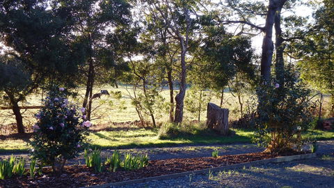 Karoola Cottage Self Contained - Accommodation Asia 25