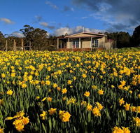Mountain Blue Guest House - Accommodation Asia