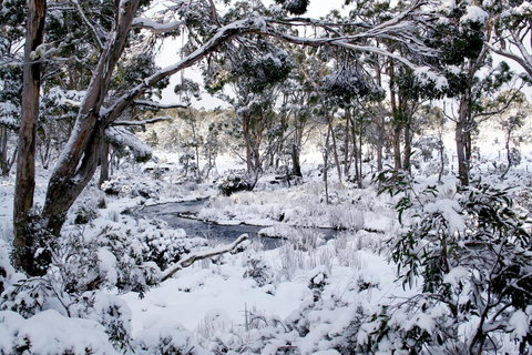 Cradle Mountain Love Shack - Accommodation China 11