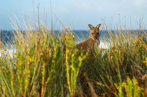 Island Breeze Motel - Accommodation Asia 24