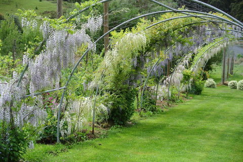 Hamlet Downs Country Accommodation - Accommodation Guide 17