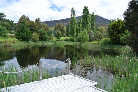 Hamlet Downs Country Accommodation - Accommodation Guide 12