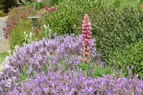 Hamlet Downs Country Accommodation - Accommodation Guide 22